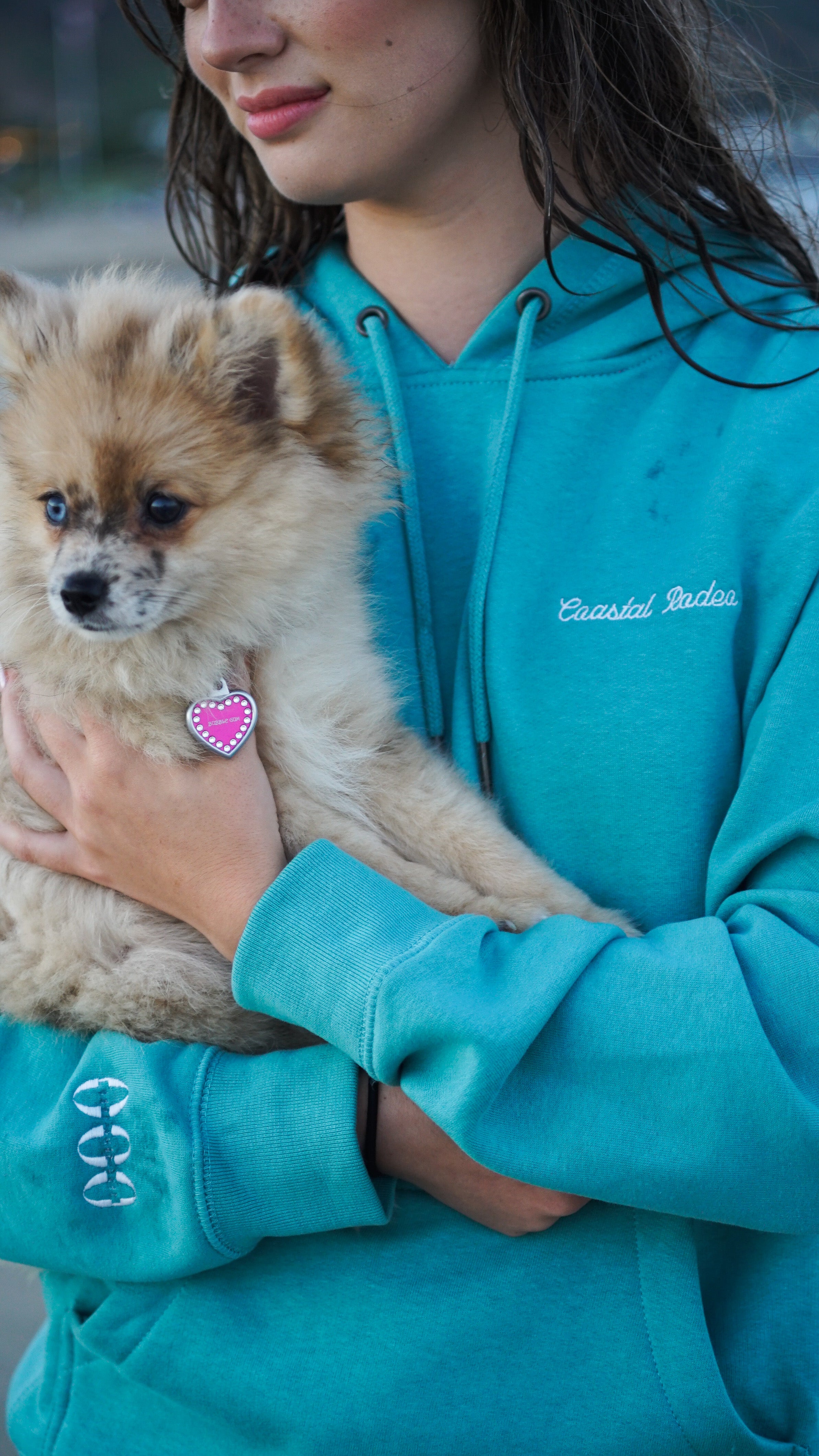 Coastal Rodeo Hoodie