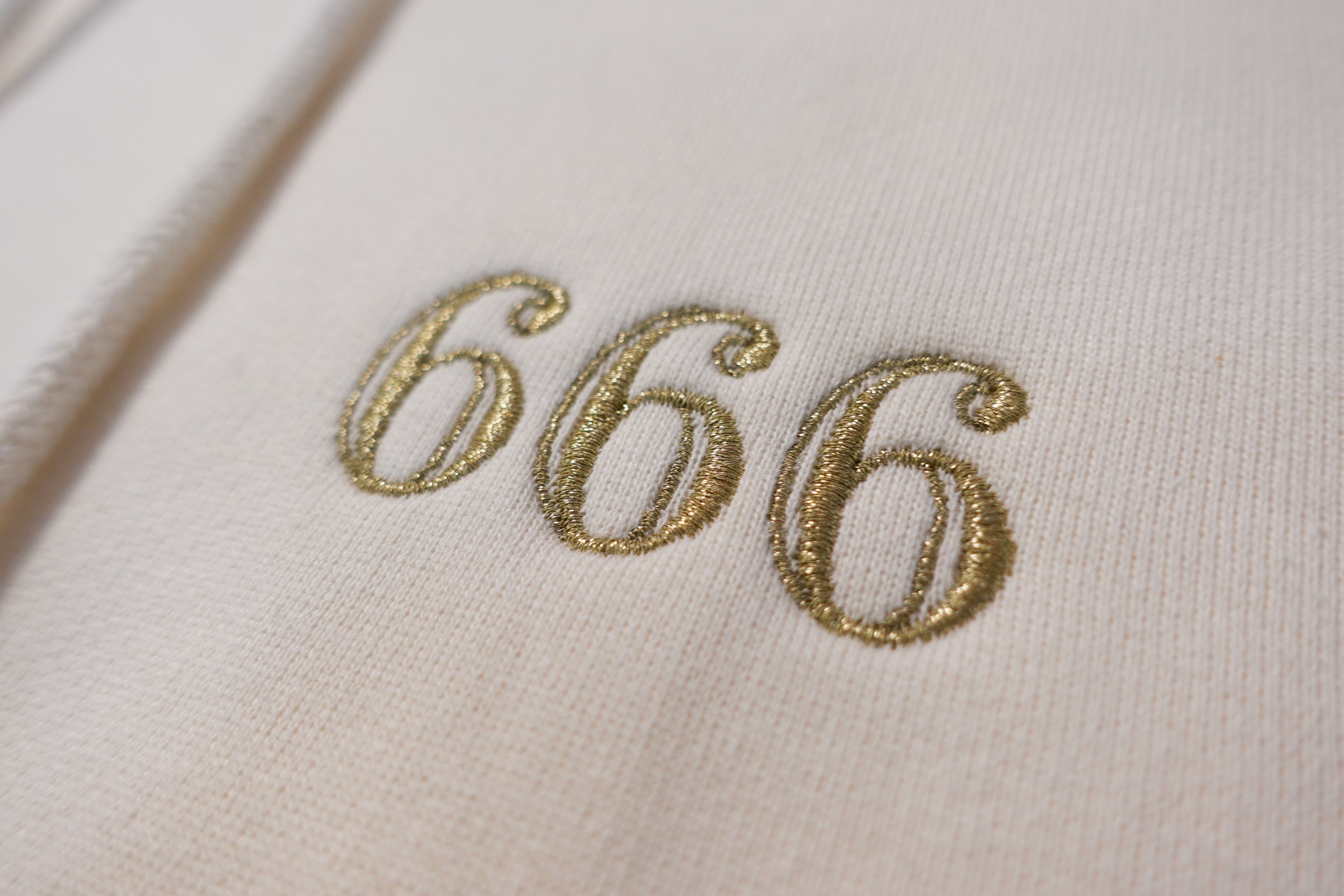 666 Hoodie